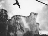 Interview with Jiri Wackermann