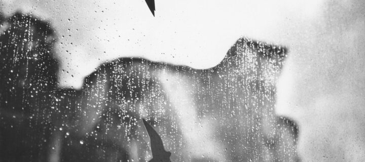 Interview with Jiri Wackermann