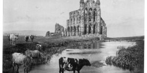 Vintage: Historic B&W Photos of Victorian-era Whitby, England
