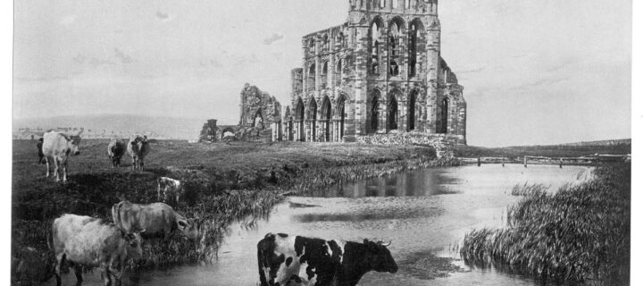Vintage: Historic B&W Photos of Victorian-era Whitby, England