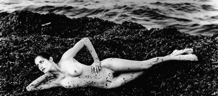 Helmut Newton x Steven Klein