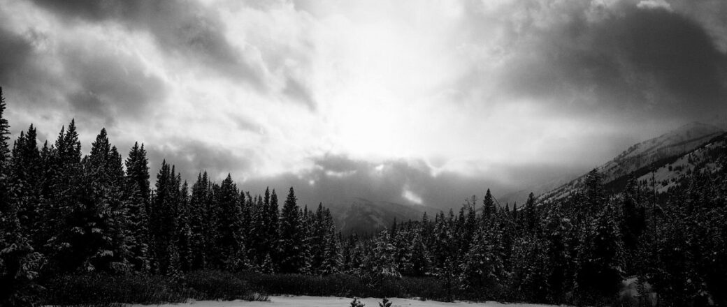 Interview with Philip Shaheen