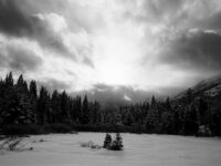 Interview with Philip Shaheen