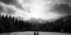 Interview with Philip Shaheen