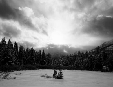 Interview with Philip Shaheen