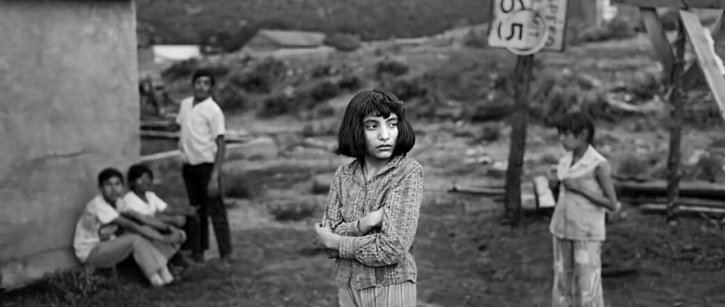 Lynn Adler: And So We Moved To Petaca