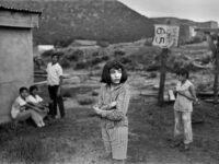 Lynn Adler: And So We Moved To Petaca