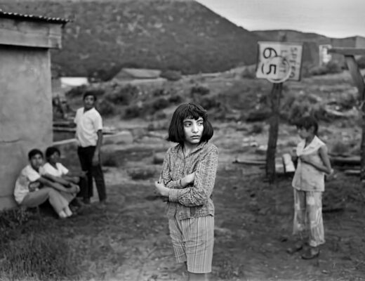 Lynn Adler: And So We Moved To Petaca