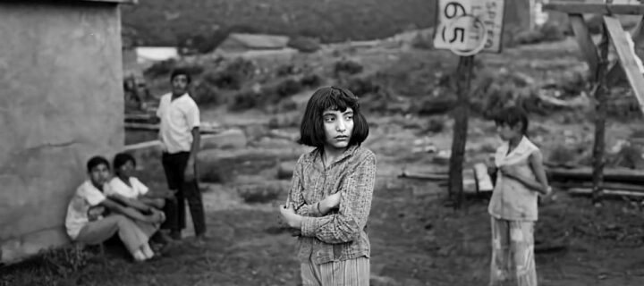 Lynn Adler: And So We Moved To Petaca